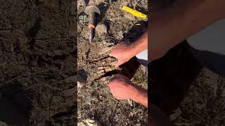 define metaldetecting definebulmaani defineişaretleri metaldetector treasurefind definemall [upl. by Louanne]