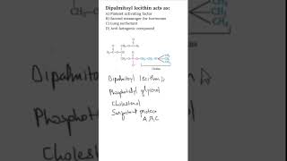 NEETPG BIOCHEMISTRY MCQS  Lung surfactants  Dipalmitoyl lecithin neetpgmcq neetpgpreperation [upl. by Roeser843]