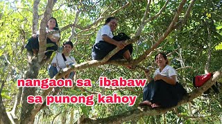 nangaon sa ibabaw sa kahoy [upl. by Anwat]