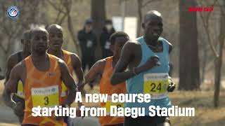 quotThe world’s highest prize moneyquot Daegu Marathon 2024WA Gold Label Teaser [upl. by Corotto]