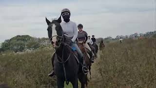 Daejun riding club team beautiful autumn morning [upl. by Belding]