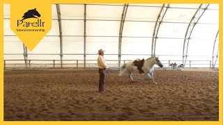 Train Your Horse to Circle with Pat Parelli [upl. by Stu314]