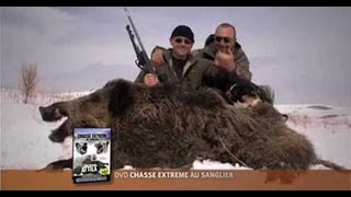 Reportage de Chasse extreme au sanglier en Turquie Sus scrofa attilathe wild boar hunting in Turkey [upl. by Coppins201]