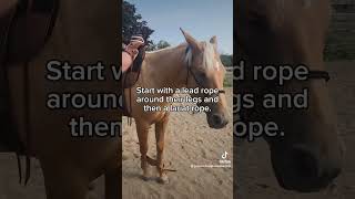 pause to read about hobbling horses horsemanship traininghorses aqha cowboy bridlehorse [upl. by Ynnohj480]