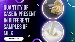 Study Of the quantity of casein present in different samples of milkchemistryprojectclass12project [upl. by Ennyrb]