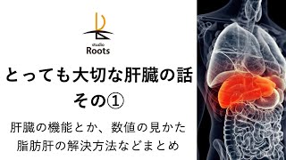 【とっても大切な肝臓の話 その①】肝臓の機能とか、数値の見かた脂肪肝の解決方法などまとめ [upl. by Aokek]