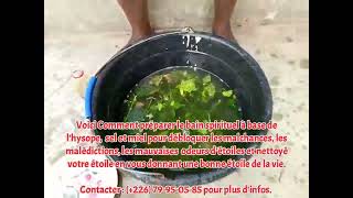 HYSOPE FEUILLES BAIN DE PURIFICATION SPIRITUELLES COMMENT PRÉPARER [upl. by Hadihsar]