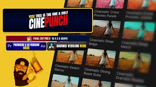 CINEPUNCH la suite definitiva per Video Editing amp Motion Graphics [upl. by Deyes]