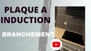 Comment brancher une plaque de cuisson électrique 👍🦾 [upl. by Reppiks]