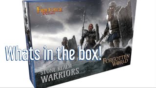 Unboxing Stone Realm Warriors from FireForge [upl. by Cahan]