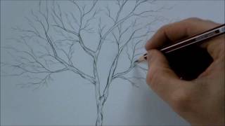 How to Draw a Tree Step by Step for Beginners In 8 Minutes [upl. by Isnam852]