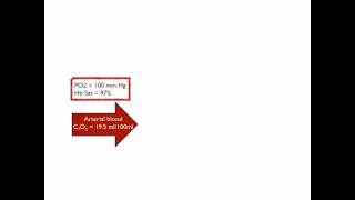 OxyHb dissociation curve to calculate blood oxygen content [upl. by Aretahs]