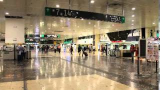 Barcelona Sants station announcement for AVE train from MadridPeurta de Atocha 20130925 [upl. by Annaiuq]