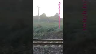 Steamrails Goulburn Valley Explorer 270724 shorts shortvideo train travel windowviews views [upl. by Ynnos]