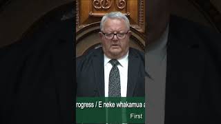 Haka interrupts vote for the Treaty Principles Bill  RNZ [upl. by Gewirtz454]