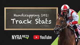 Horse Racing Handicapping Tutorial  Track Stats [upl. by Syramad764]