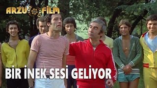 Bir İnek Sesi Geliyor  Hababam Sınıfı Uyanıyor [upl. by Lange745]