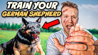 5 Tips to train an Aggressive German Shepherd [upl. by Oinolopa]