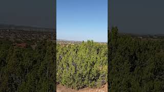 Cerrillos Hills State Park in Los Cerrillos NM views mountains newmexico [upl. by Arymahs]