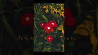 Tare amar amar mone kori amar hoa r hoilo na  New whatsapp status [upl. by Bearnard759]