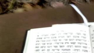 New Testament in Biblical Hebrew [upl. by Erdna239]