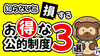 役所が教えない！高齢者が「知らないと損する」お得な公的制度３選 [upl. by Acimad]