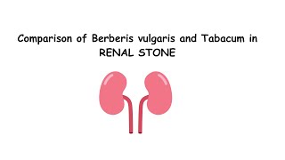 Comparison of BERBERIS and TABACUM in RENAL STONE [upl. by Skill]