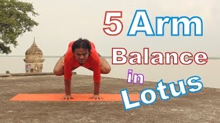 5 Best Arm Balance in Padmasana  Lotus Arm Balance Yoga Poses Near Holy Ganga  vyfhealth [upl. by Garvin]