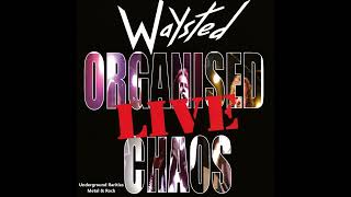 W̲a̲y̲sted  O̲r̲g̲a̲nised C̲h̲aos… L̲ive 2006 Full Album [upl. by Yorle]