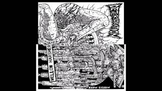 Deterioration  Mellow Harsher  Split 2021 [upl. by Ahsya]