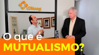 O que é Mutualismo  Entenda o Seguro [upl. by Siegfried]