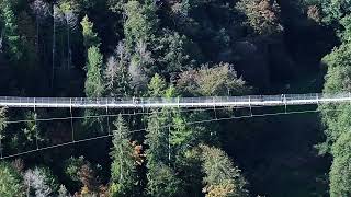 Geierlay Hängeseilbrücke in RheinlandPfalz  Eine Attraktion für Besucher [upl. by Odel]