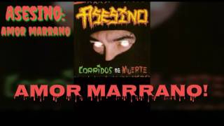 Asesino  Amor Marrano Lyrics HD [upl. by Borszcz]