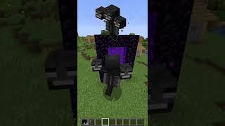 WHICH MOB CAN PASS THROUGH NETHER PORTAL minecraft urdu hindi pakistan india minecraftmobs [upl. by Kreg]