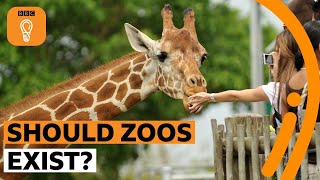 Should zoos exist  BBC Ideas [upl. by Ahsir694]