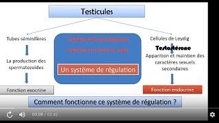 BAC math et sc  SVT  chez lhomme  CH2  introduction régulation du fonctionnement testiculaire [upl. by Reider170]