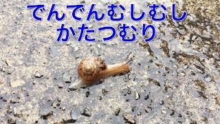 【でんでんむしむしかたつむり】歌詞付 [upl. by Gunter]