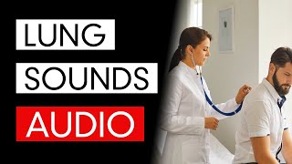 Lung Sounds  Audio COVID19 Pneumonia Included [upl. by Eilrac]