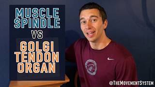 Muscle Spindle vs Golgi Tendon Organ Explained [upl. by Hogle]