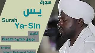 Surah Yasin  Heart Touching  Sheikh Noreen Muhammad Siddique [upl. by Samot637]