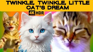 Twinkle Twinkle Little Cats Dream cat cute catvideos cartoon [upl. by Fulcher]