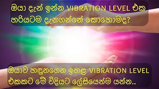 ඔයාගේ vibration level එක හරියටම දැනගන්න What is your vibration level  Sinhala motivation video [upl. by Rebecka]