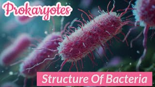 Whats inside a Bacterial cellStructure of bacteriaBacteriamicrobiologyprokaryotes [upl. by Lalat327]