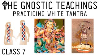 Awakening Gnosis How to Practice Sexual Alchemy  White Tantra amp Death of Ego Lesson 7 [upl. by Airdnekal]