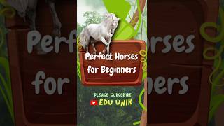 Top 10 Most Gentle Horse Breeds for Beginners horselover shorts 1million 1 [upl. by Yenitirb]