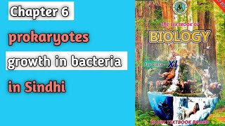 growth in bacteria chapter 6 prokaryotes class 11 biology Sindh board [upl. by Madelena]