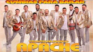 Tropicalisimo Apache Exitos 2024 ✨✨✨ Clasicas Cumbias Para Bailar Mix ✨✨✨ [upl. by Zetes193]