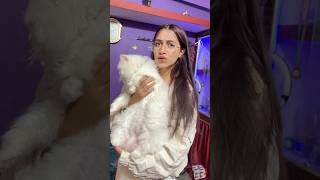 Mummy ko New pet pasand aya ❤️😱🧿 shorts trending relatable viral [upl. by Ariec]