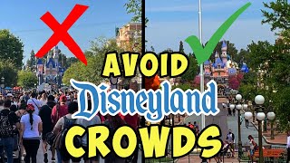 Least Crowded Times to Visit Disneyland When to Visit in 2024 [upl. by Nesline]