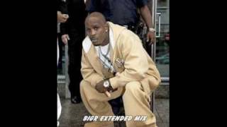 DMX ftSwizz Beatz  Get It On The Floor BIGR Extended Mix [upl. by Siddra]